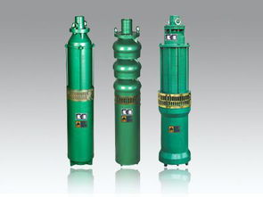 深井泵,注意事項(xiàng),qs,下泵前