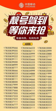 手機(jī)靚號(hào)過(guò)戶(hù)注意事項(xiàng),買(mǎi)靚號(hào)需要注意事項(xiàng),購(gòu)買(mǎi)手機(jī)靚號(hào)過(guò)戶(hù)注意事項(xiàng)