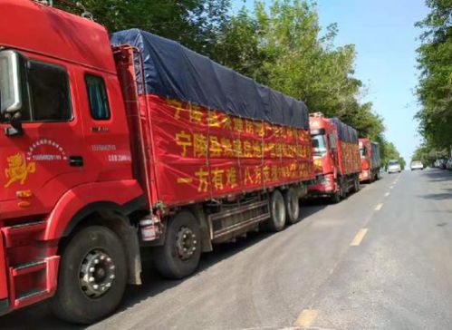 抗洪救災(zāi)慈善活動注意事項(xiàng)