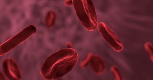 移植前的注意事項(xiàng),移植前一天注意事項(xiàng),移植后注意事項(xiàng)和飲食