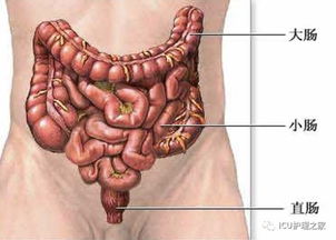結(jié)腸,注意事項,灌洗
