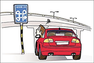 駕車,出游,注意事項