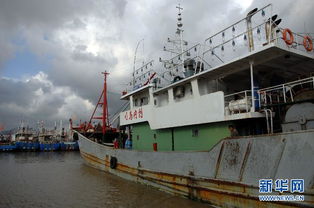 春節(jié)期間船舶停航注意事項(xiàng),船舶加油注意事項(xiàng),船舶環(huán)保注意事項(xiàng)