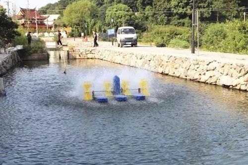 魚(yú)塘安全注意事項(xiàng),魚(yú)塘殺蟲(chóng)注意事項(xiàng),新魚(yú)塘養(yǎng)魚(yú)注意事項(xiàng)