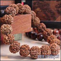 盤玩小金剛菩提注意事項,新手玩金剛菩提的注意事項,新手買金剛菩提注意事項