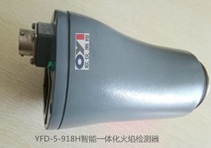 安裝火焰檢測(cè)探頭的注意事項(xiàng)