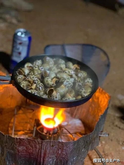 戶外野炊的技巧和注意事項(xiàng)
