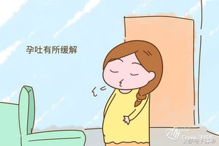 試管懷孕停藥后注意事項,胎停過一次下次懷孕注意事項,懷孕在家養(yǎng)胎注意事項