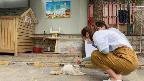 咬傷,注意事項(xiàng)