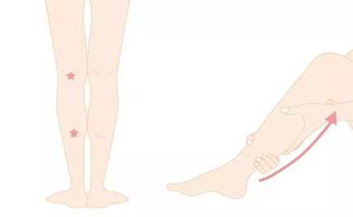 脫完毛后注意事項(xiàng),脫唇毛后的注意事項(xiàng),脫完唇毛后的注意事項(xiàng)