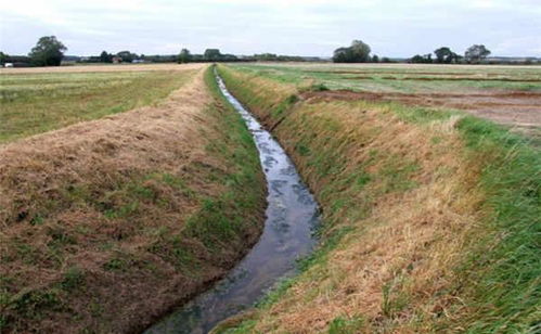 農(nóng)村宅基地轉(zhuǎn)讓注意事項,農(nóng)村戶頭轉(zhuǎn)讓協(xié)議注意事項,農(nóng)村承包的荒地可以轉(zhuǎn)讓嗎