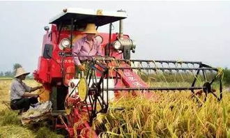 小麥?zhǔn)崭顧C(jī)注意事項(xiàng),開(kāi)收割機(jī)注意事項(xiàng),買(mǎi)二手收割機(jī)注意事項(xiàng)