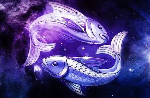 雙魚,注意事項(xiàng)