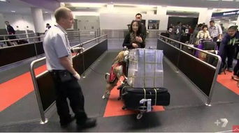 安檢,注意事項,飛機(jī),最新