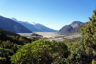 新西蘭自駕游注意事項-word版本