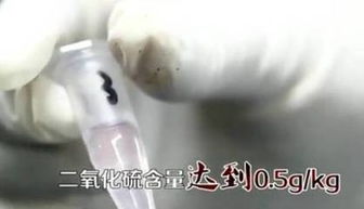 包大黃米粽子注意事項(xiàng),吃大棗的注意事項(xiàng),粽子的制作注意事項(xiàng)