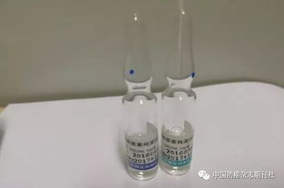 皮膚消毒試驗(yàn)操作過程注意事項
