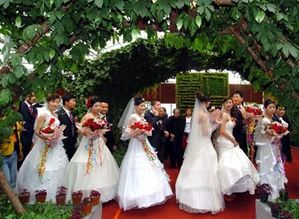 參加婚禮時(shí)注意事項(xiàng),參加婚禮注意事項(xiàng)細(xì)節(jié)大全,本命年參加婚禮要注意事項(xiàng)