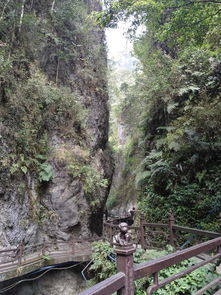 峨眉山金頂旅游注意事項,冬季峨眉山旅游注意事項,峨眉山游玩注意事項