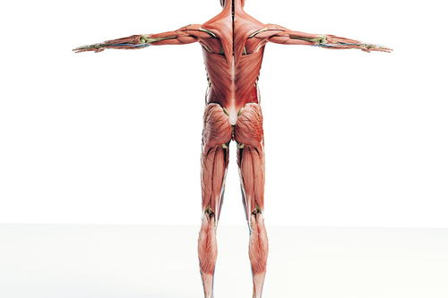 兒童肌肉注射注意事項