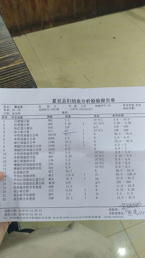 血小板低護理注意事項,血小板低需要注意事項,血小板低指導(dǎo)注意事項