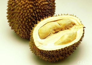 榴蓮食用注意事項
