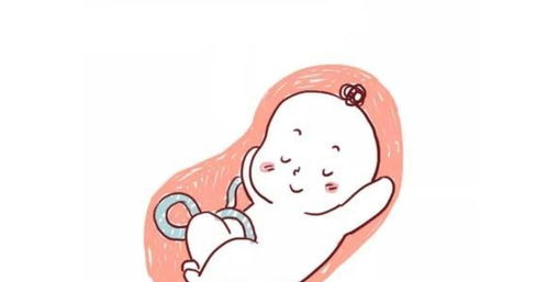 胎心監(jiān)護(hù)的注意事項(xiàng),胎心監(jiān)護(hù)使用流程及注意事項(xiàng),胎心監(jiān)測(cè)要注意事項(xiàng)