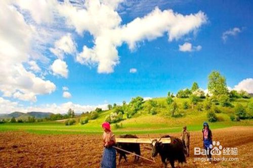 高原旅游注意事項(xiàng),高原洗頭注意事項(xiàng),高原開車注意事項(xiàng)