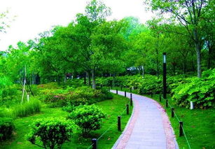 綠化,幼兒園,注意事項(xiàng),入口