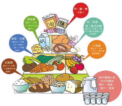 小學(xué)生,注意事項,飲食