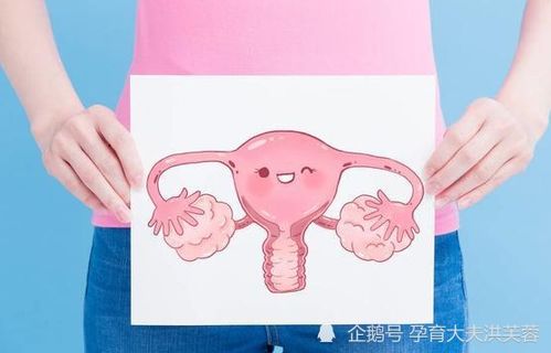 做生殖檢查前注意事項(xiàng)