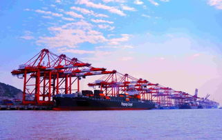 裝船,注意事項(xiàng)