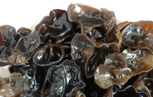 新采摘木耳注意事項(xiàng)