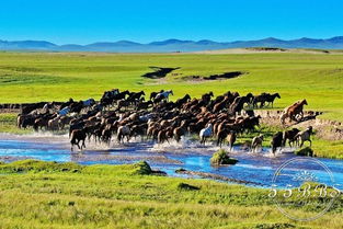 烏蘭布統(tǒng)草原旅游注意事項(xiàng)