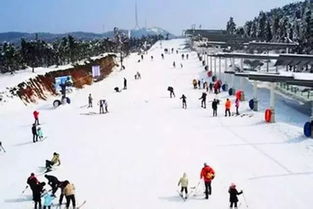 寧波商量崗滑雪注意事項(xiàng),滑雪注意事項(xiàng)和要領(lǐng),新手滑雪注意事項(xiàng)