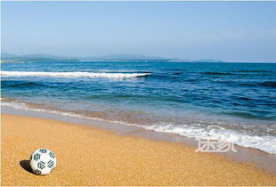 露營食物注意事項(xiàng)