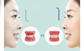 矯正,注意事項,細胞