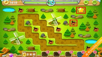 保衛(wèi),蘿卜,注意事項