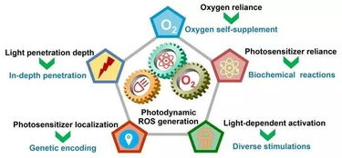 注意事項(xiàng),動(dòng)力,pdt