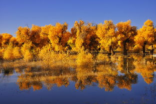 額濟(jì)納至銀川自駕注意事項(xiàng)