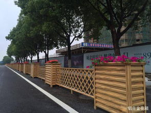 注意事項(xiàng),市政道路,設(shè)計(jì)