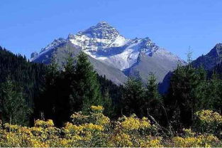 八月初到新疆旅游好嗎.注意事項(xiàng)有那些