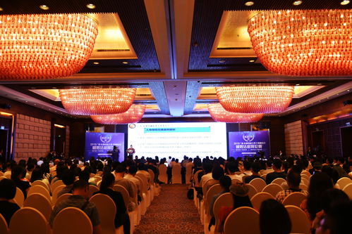 搭建,注意事項,舞臺