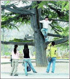 幼兒園春游注意事項,幼兒園注意事項和安全,幼兒園春游安全注意事項