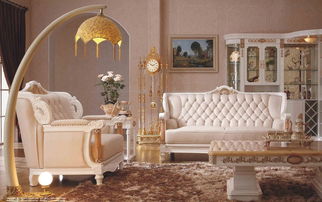 注意事項(xiàng),家具,選擇