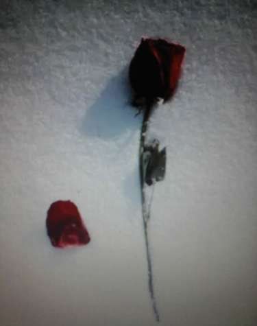 嫁給你到底有什么好處？