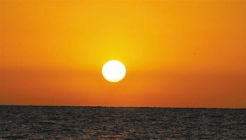 我愿為他放棄世界 他卻娶了別人為妻