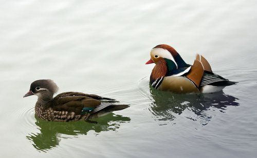 那年的愛，我們一起走過