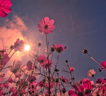 放手，給你愛的藍(lán)天