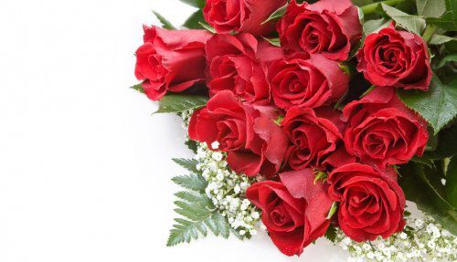 情人節(jié)的禮物